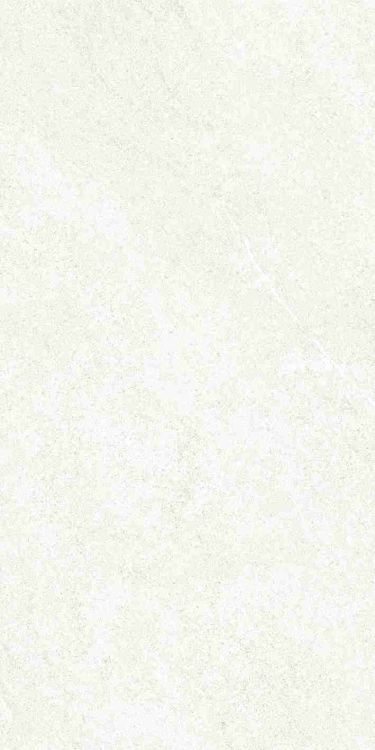 Dhara White Matte 12 x 24